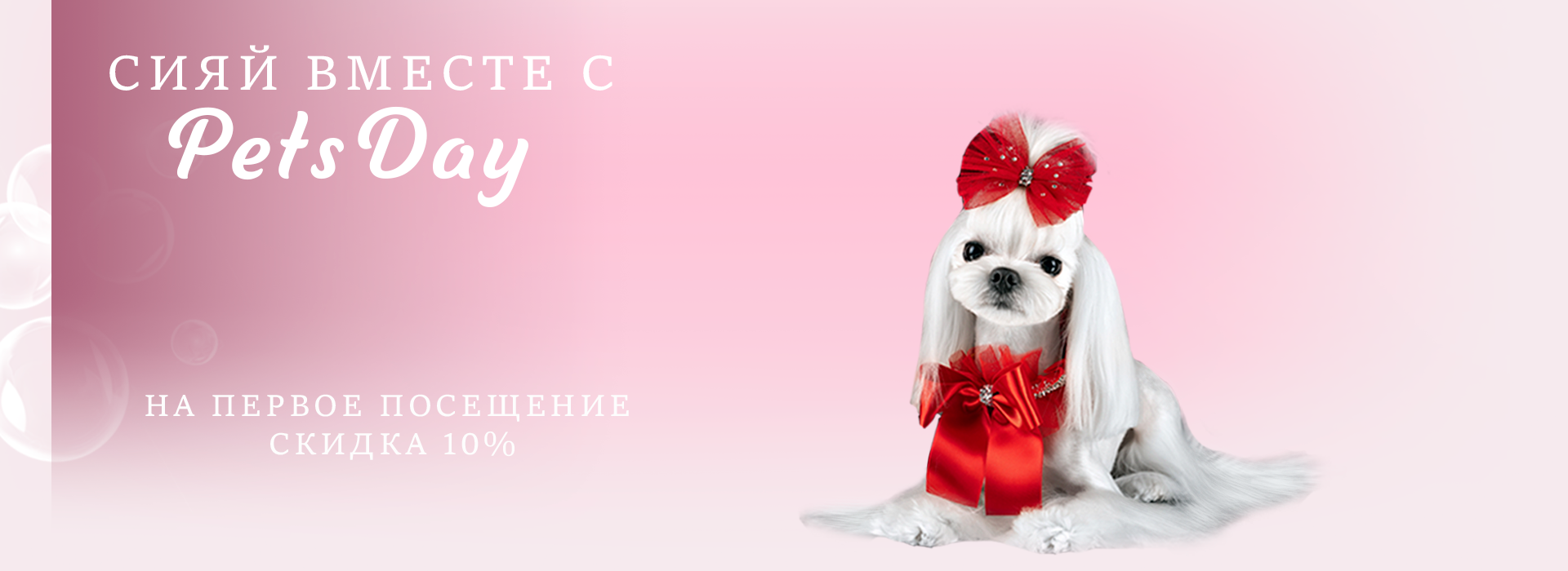 Добро пожаловать в PetsDay